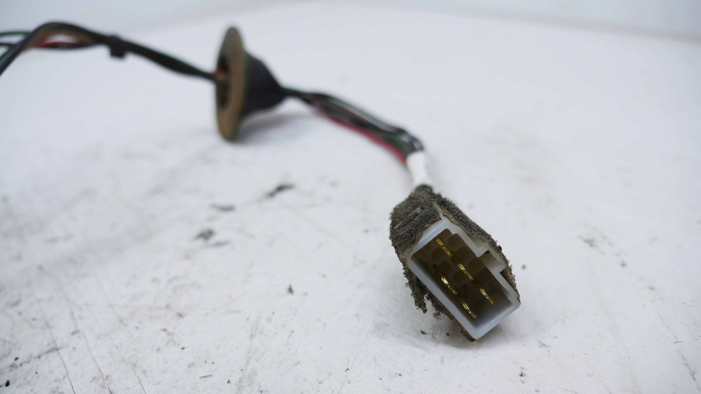 Rear Tail Light Lens Sockets and Plug - Fits Ford Falcon BA 2002-2005