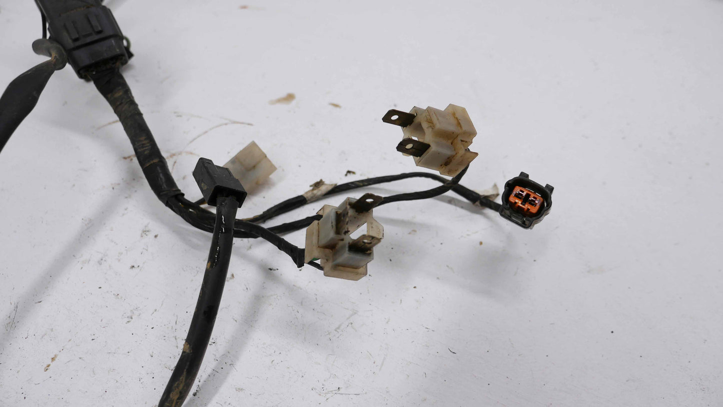 Extended Headlight Wiring Loom - Fits Ford Falcon AU XR6 XR8 1998-2002