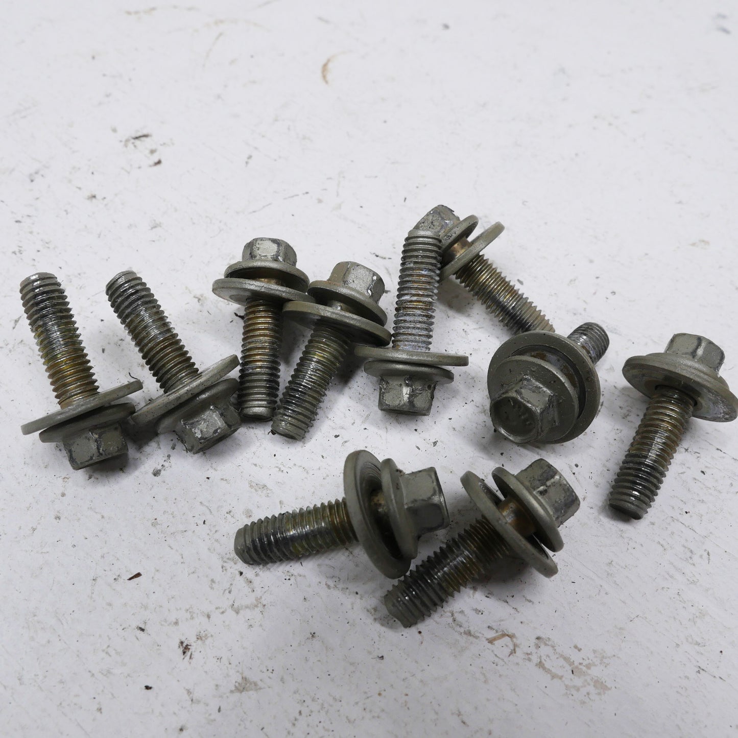 Front Door Hinge Bolts - Fits Ford Falcon AU SR 1998-2002