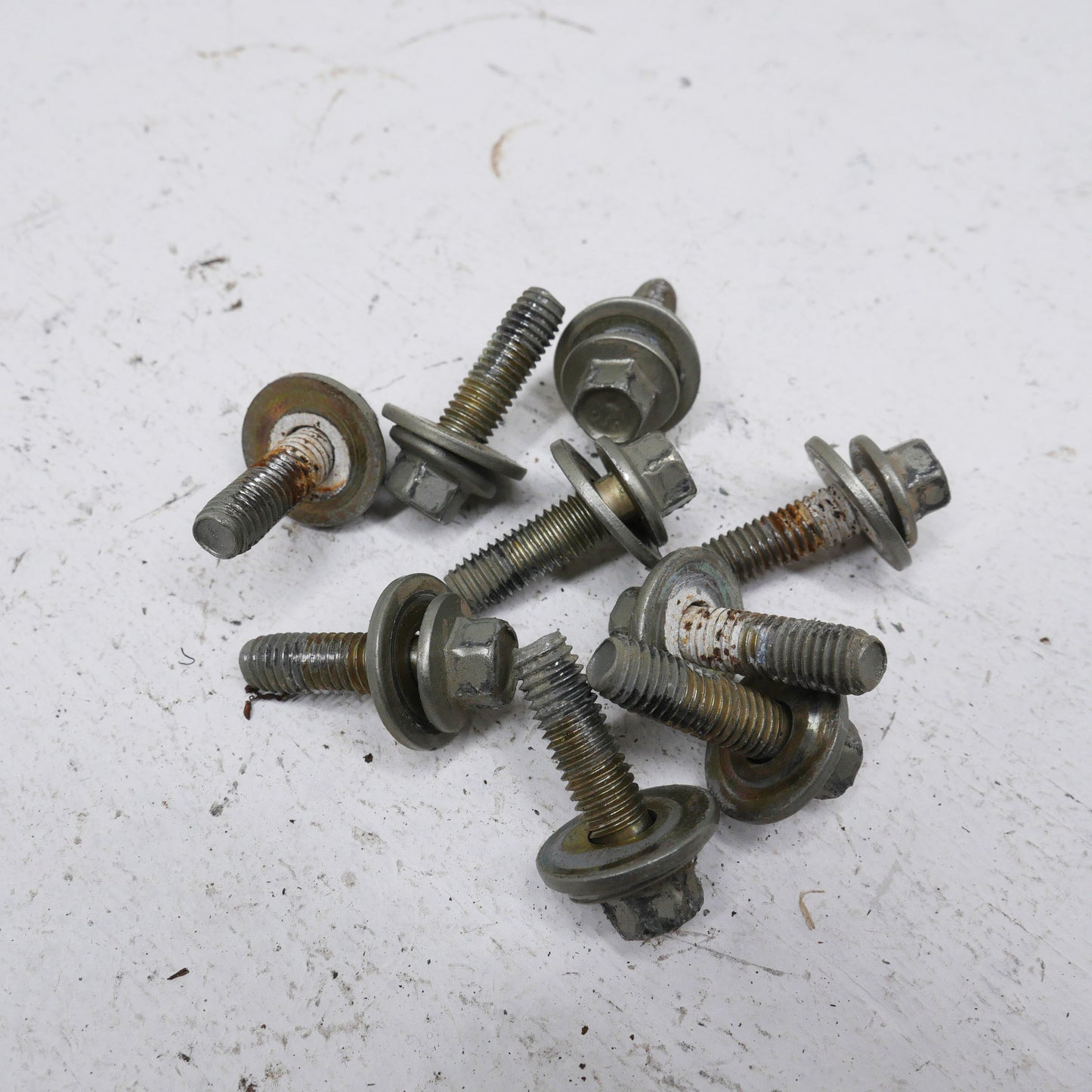 Rear Door Hinge Bolts - Fits Ford Falcon AU SR 1998-2002