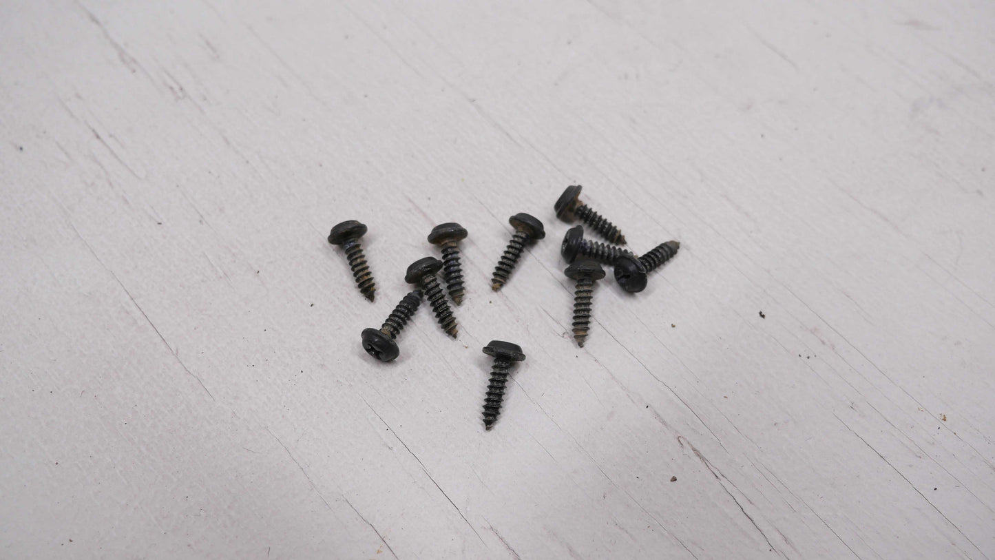 10 x Scuff Plate Screws - Fits Ford Falcon AU 1998-2002