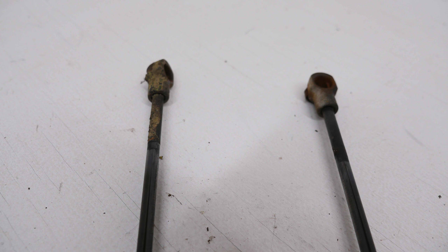 Boot Gas Struts - Fits Ford Falcon AU 1998-2002