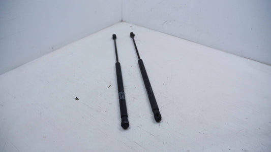 Bonnet Gas Struts - Fits Ford Falcon AU 1998-2002